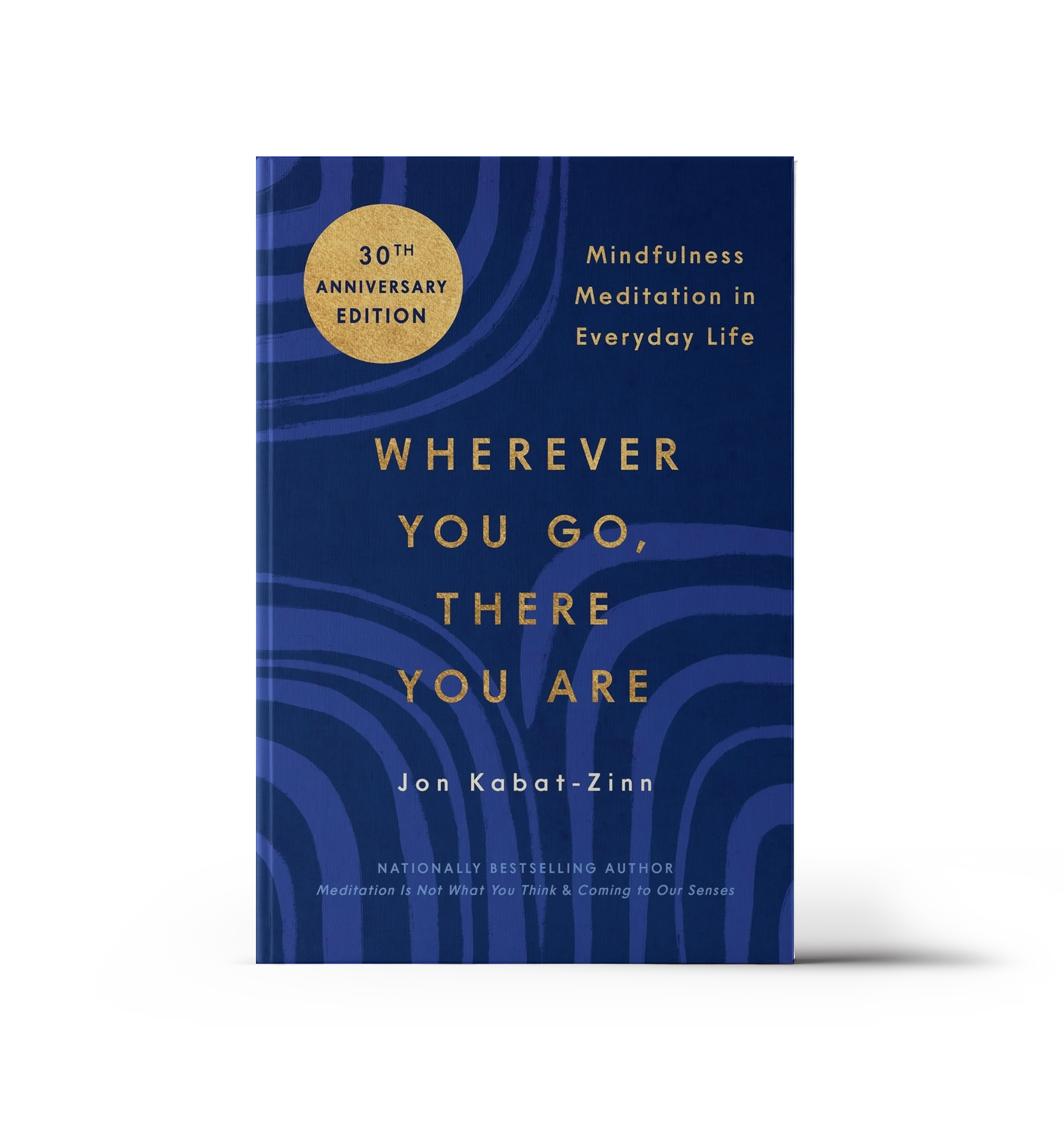 Wherever You Go, There You Are by Jon Kabat-Zinn – mindfulness and meditation book, recommended by Warwick Dunnett, author of Dance with Angels